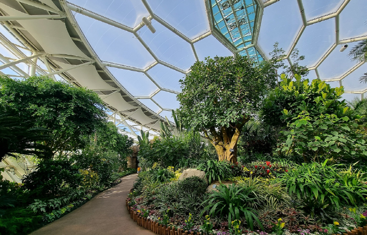 부천호수식물원 수피아