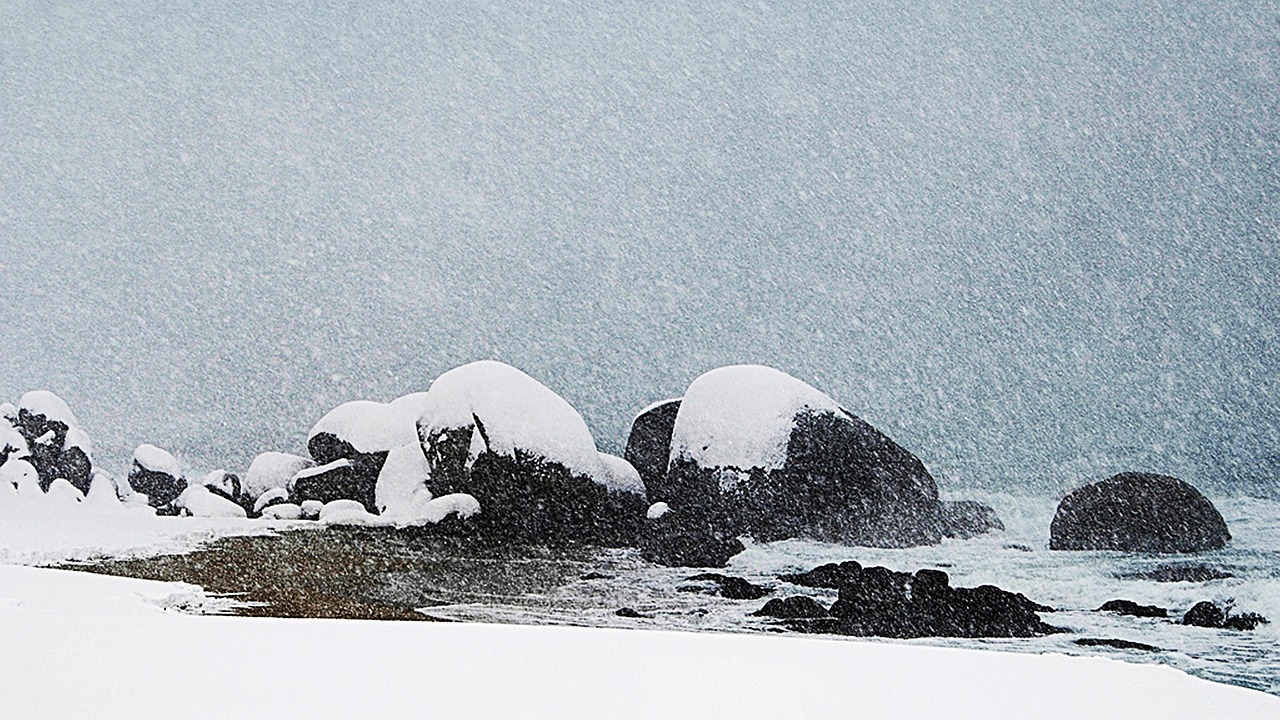 눈 내리는 바다 사진