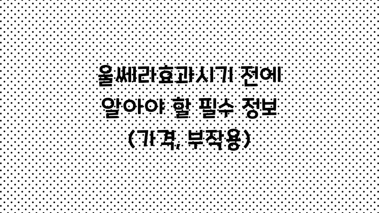 울쎄라효과시기
