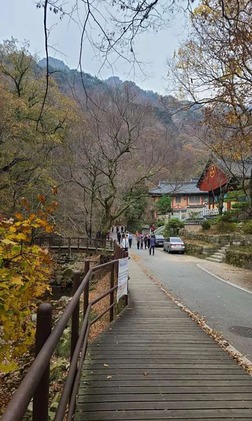 계룡산식당