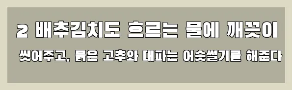  2 배추김치도 흐르는 물에 깨끗이 씻어주고, 붉은 고추와 대파는 어슷썰기를 해준다