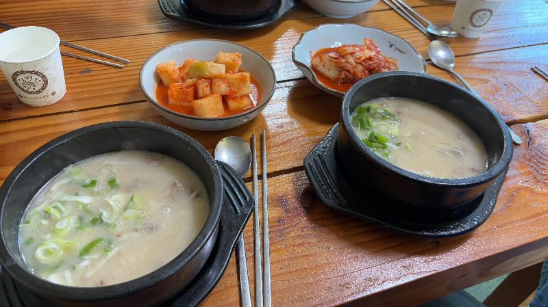 양양 맛집 조산곰탕