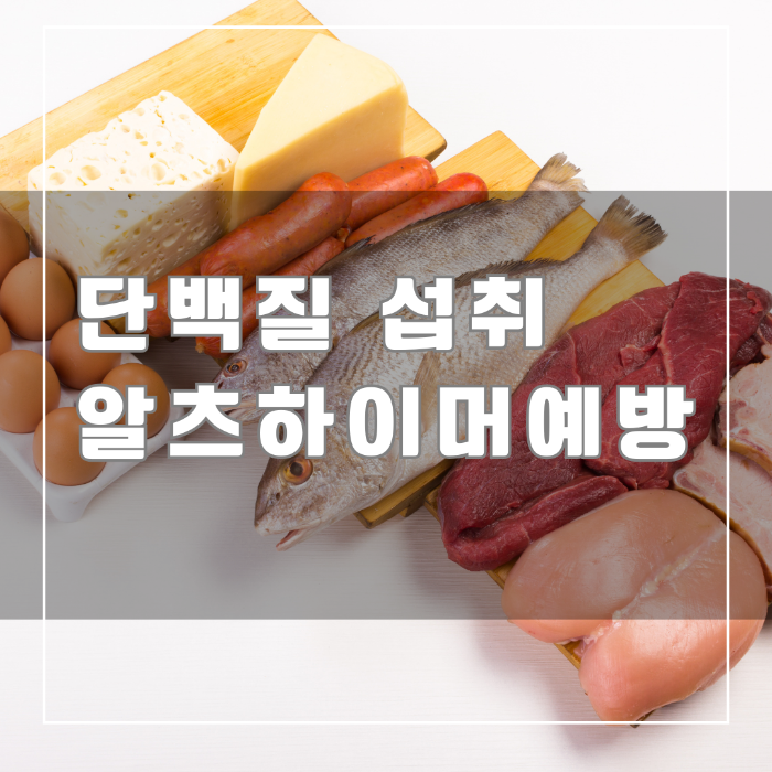 단백질 섭취 알츠하이머 예방