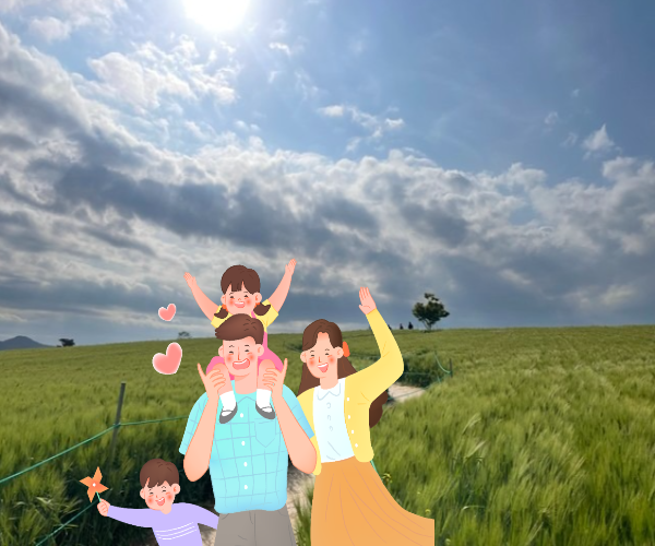 고창 청보리밭 축제 기본정보