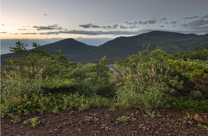 일본 도호쿠 사진