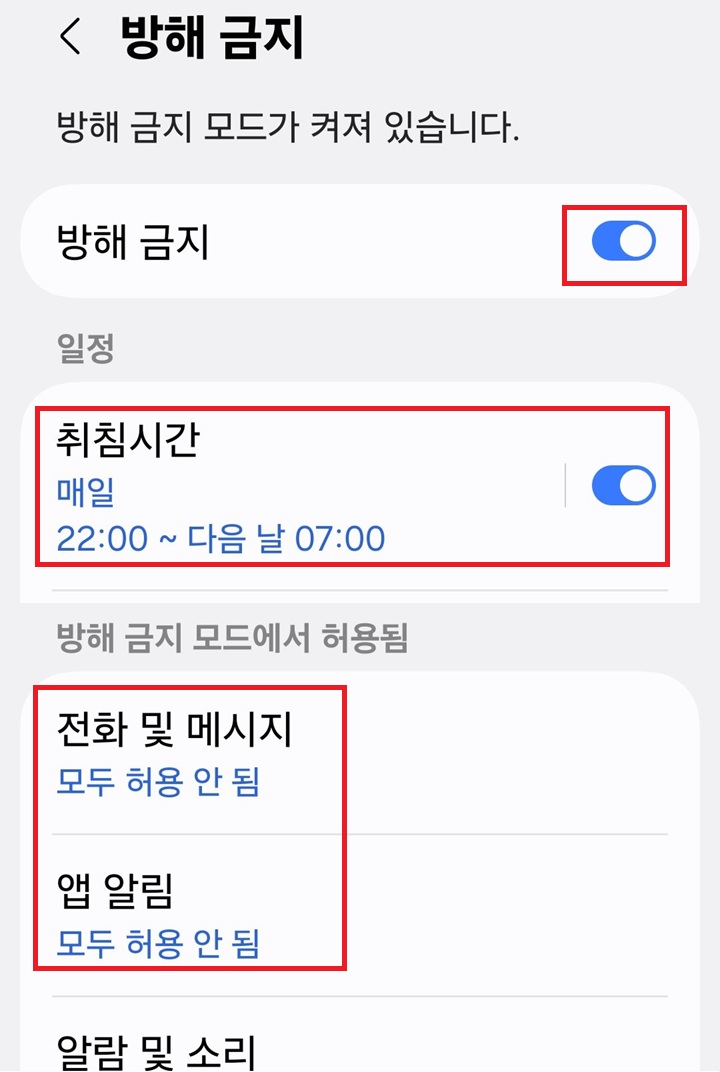 방해 금지 설정 페이지 보임