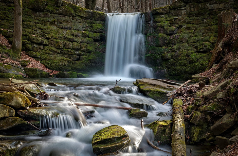직장인 위한 봄 알레르기 관리 팁 (집중력 유지, 예방 방법) 관련 사진