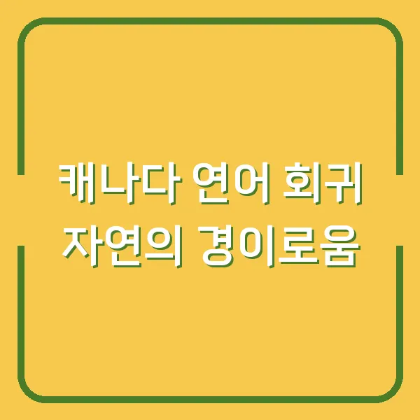 캐나다 연어 회귀 자연의 경이로움