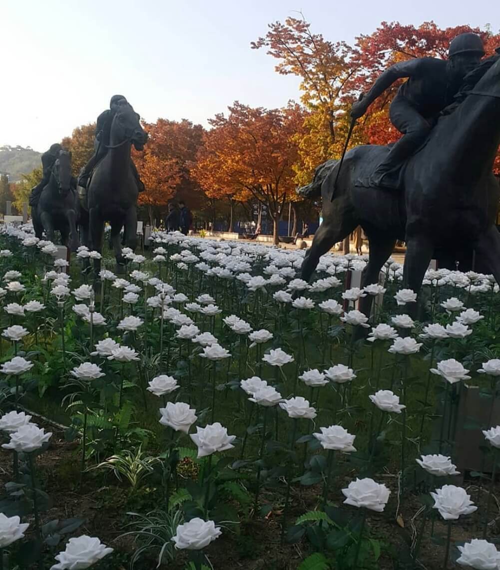 2025 서울숲 튤립 구경 가이드 관련사진