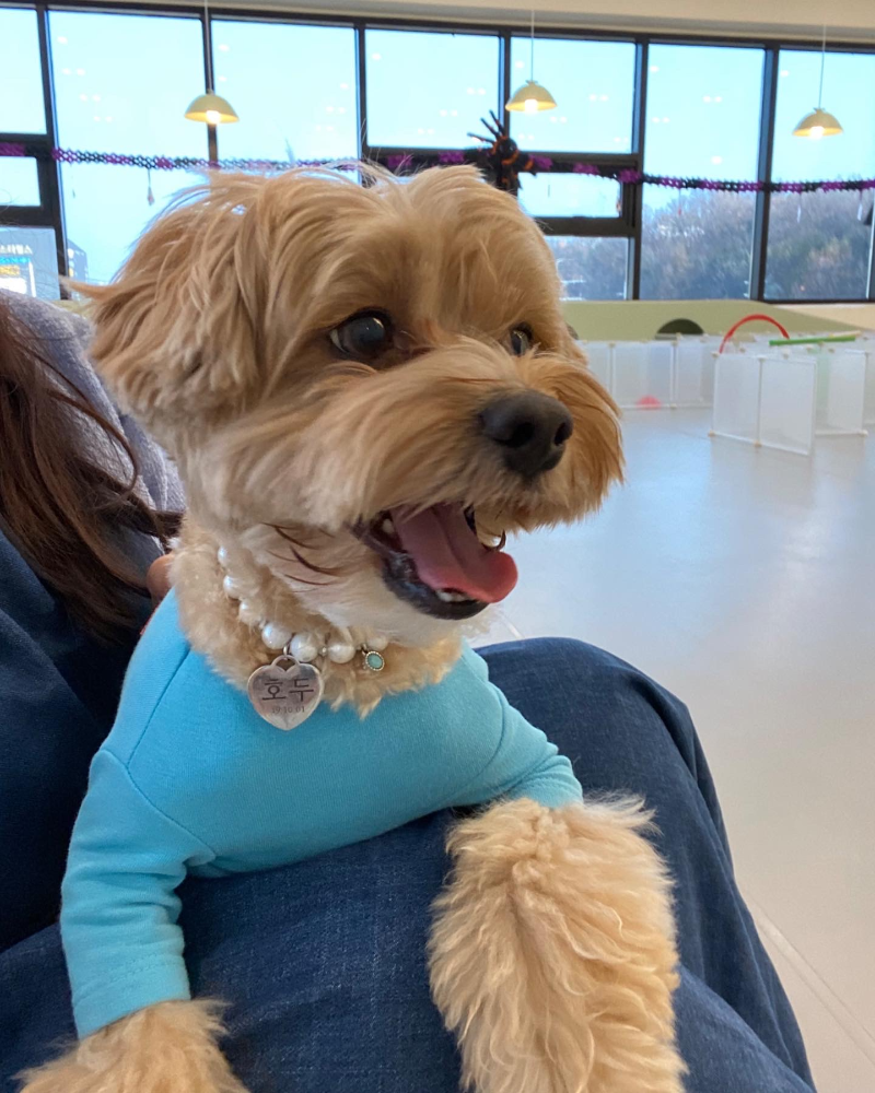 감기-예방-방법