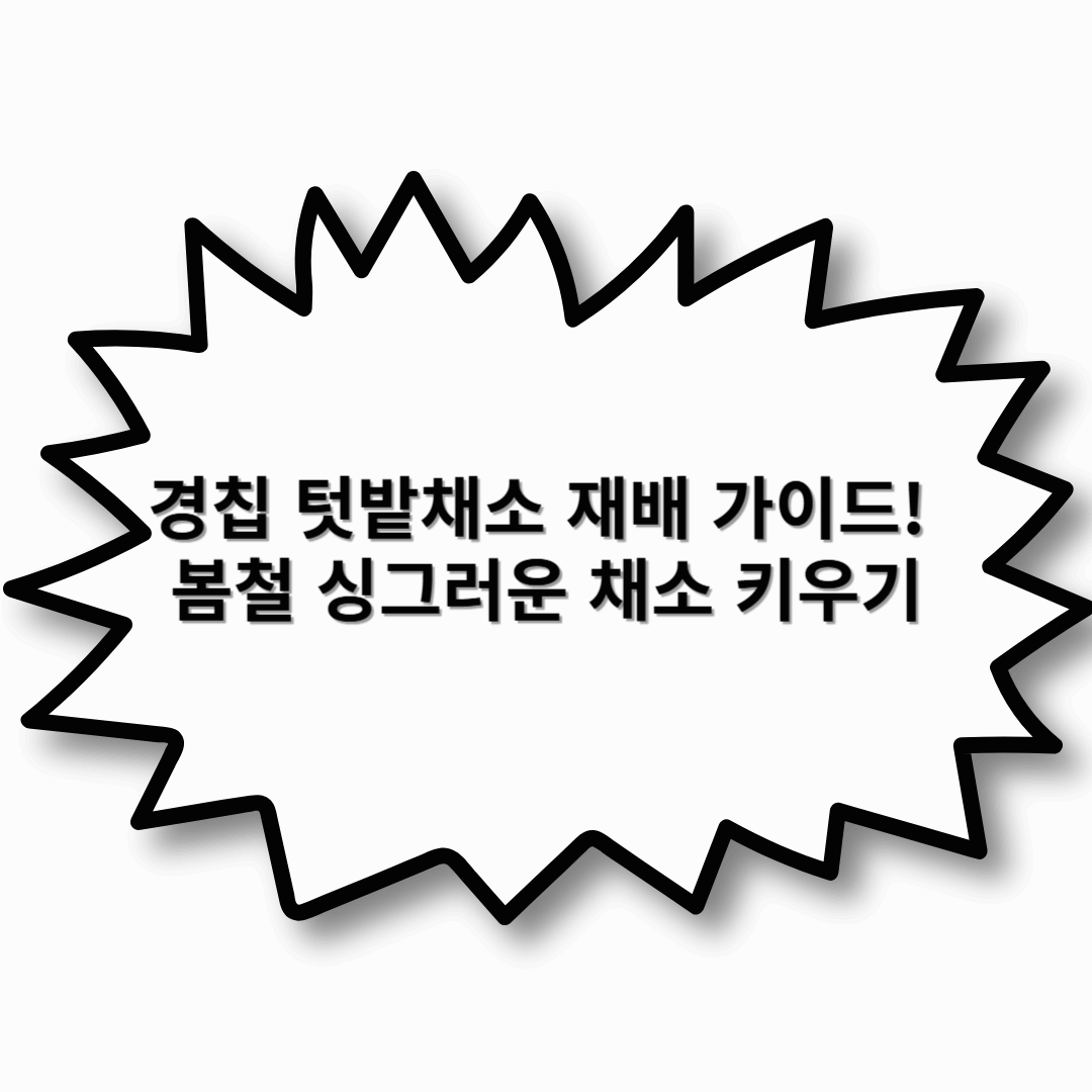 경칩 텃밭채소 재배 가이드! 봄철 싱그러운 채소 키우기