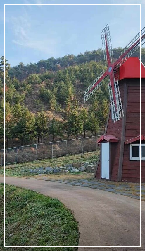 괴산 가볼만한곳 베스트10 성불산 자연휴양림