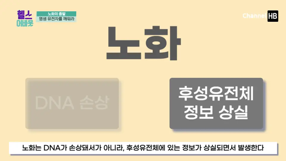 NMN효능