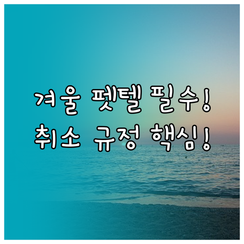 안전한 겨울 펫 호텔 이용을 위한 예..