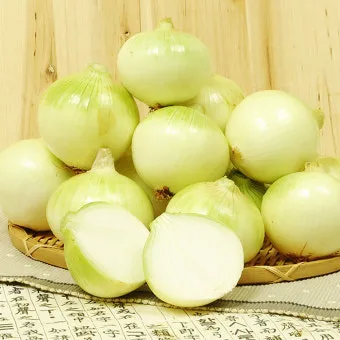 양파 보관법 양파 오래 보관법 3가지 방법_15