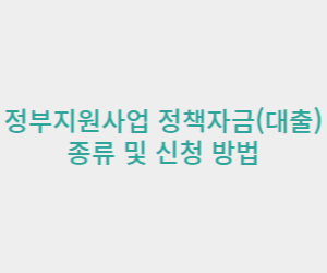 정부지원사업 대출