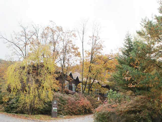 숲나들e 예약 방법부터 추천 캠핑장까지! 2025년 완전정리