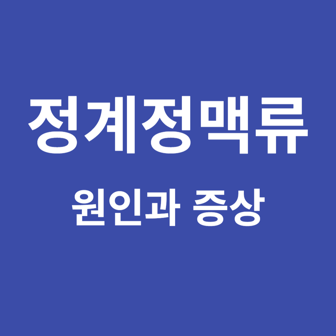 정계 정맥류의 의미와 증상