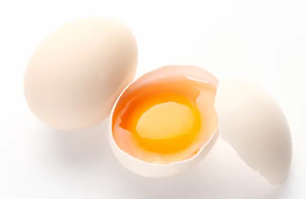 고양이-주면-안되는음식-날계란