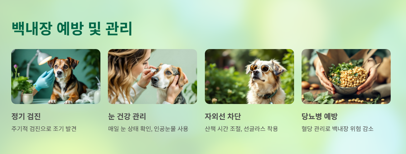 백내장 예방과 관리