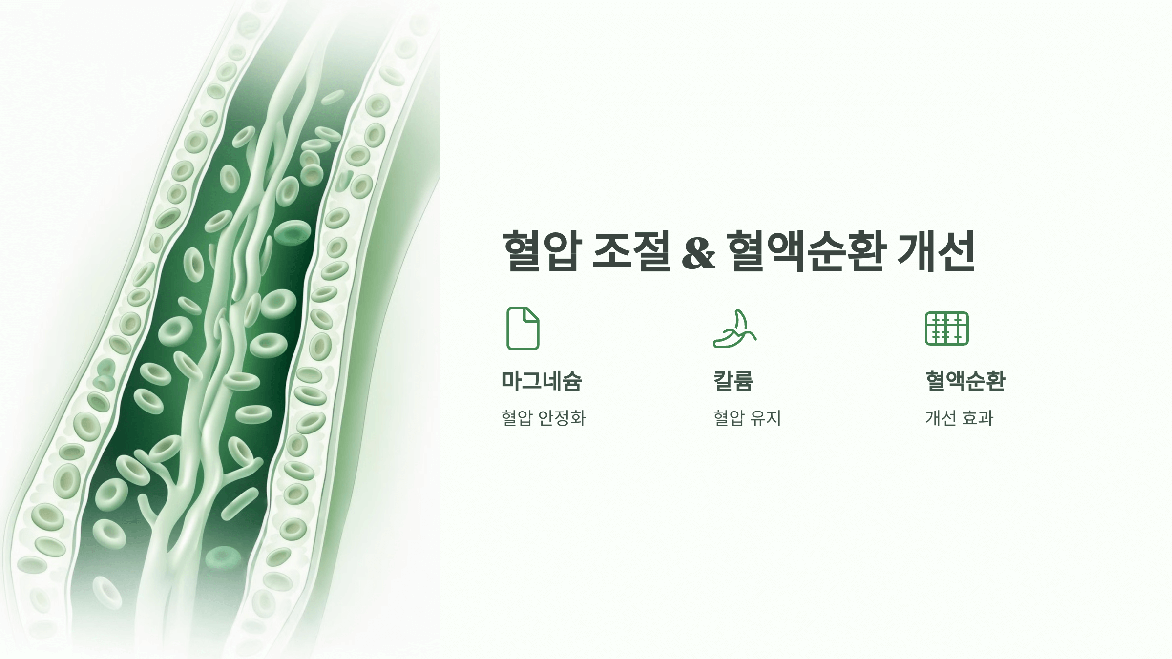 대마종자유 사진입니다.