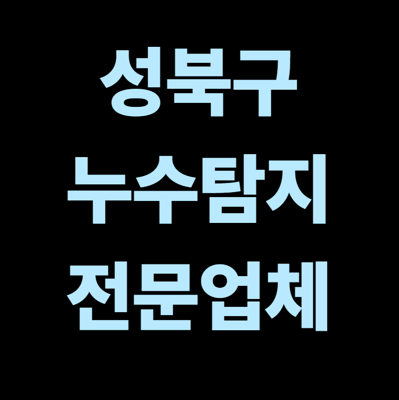 성북구 누수탐지 전문업체