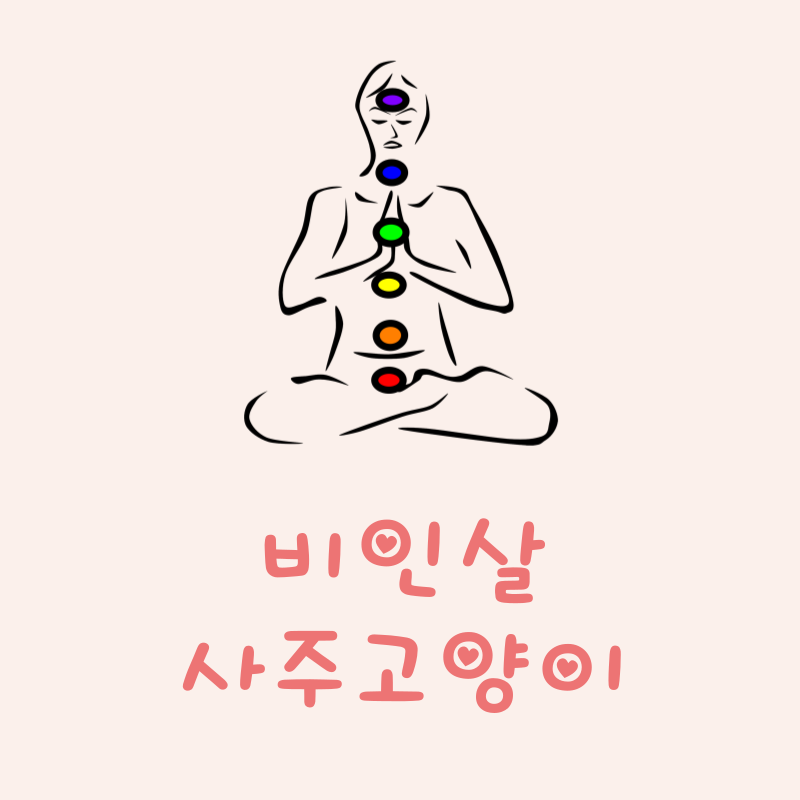 비인살이란