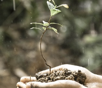겨울철 타이어 적정 공기압