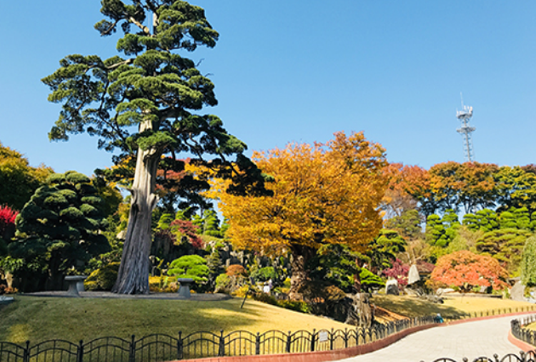 세종 베어트리파크 수목원