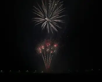 무안 연꽃축제40