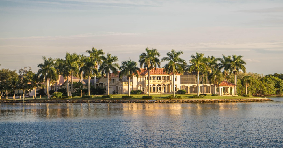 waterfornt mansions with palm trees