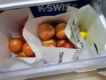 과일 보관 바나나 사과 토마토 숙성 냉장 기준표_18