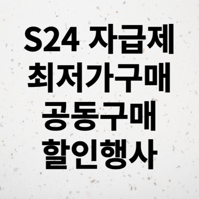 갤럿기 S24