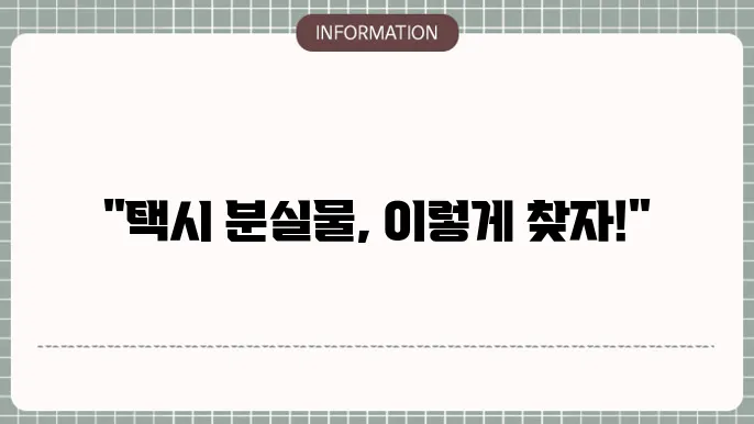 분실물 찾기 시스템 : 카카오택시 트리미트 로카모빌리티 개인택시