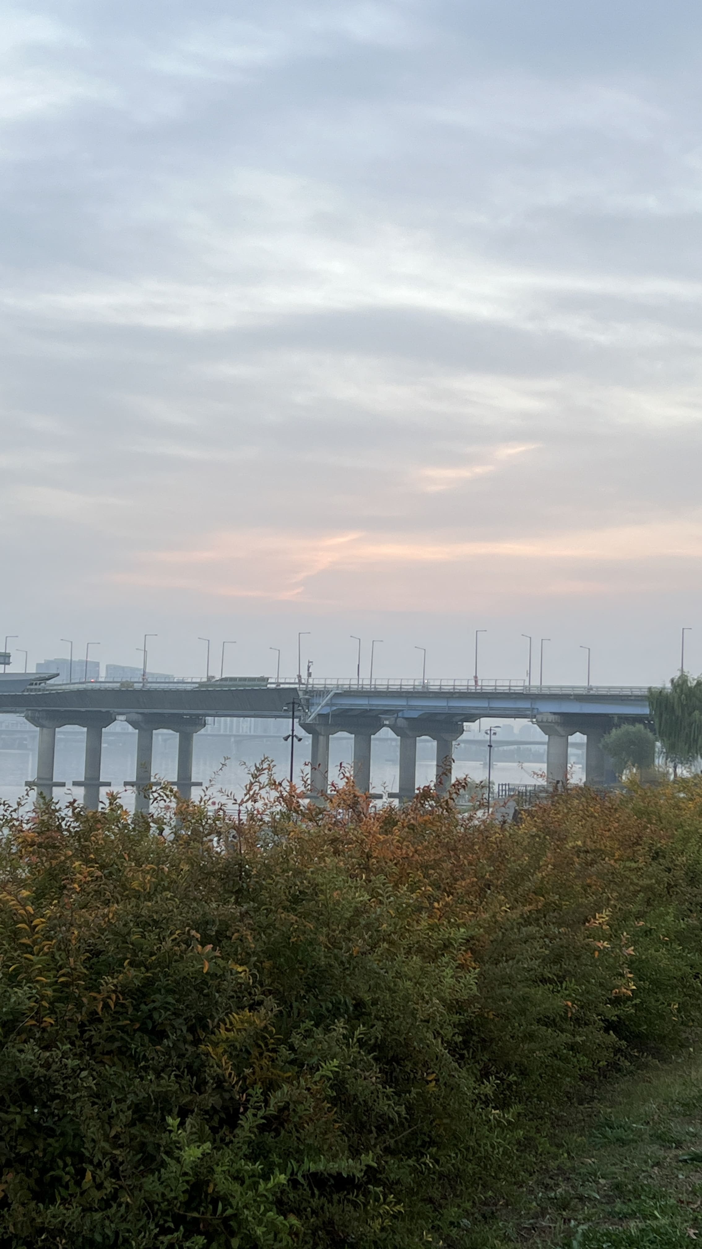 여의도 한강공원 