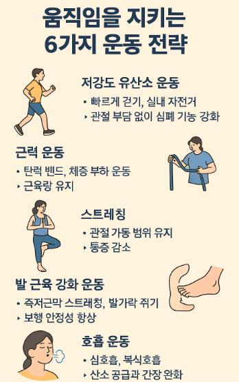 6가지 운동 전략
