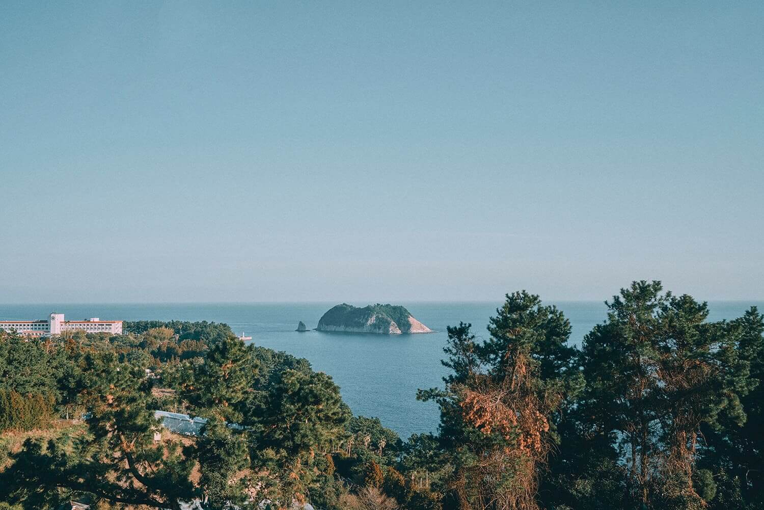 올레길 7코스 vs 10코스, 최고의 선택은? 🥾