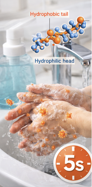 손씻기의 과학적 원리와 비누의 세정효과 관련 사진