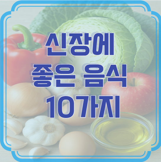 신장에 좋은 음식 10가지 – 내 몸의 정수기를 건강하게 지키는 법