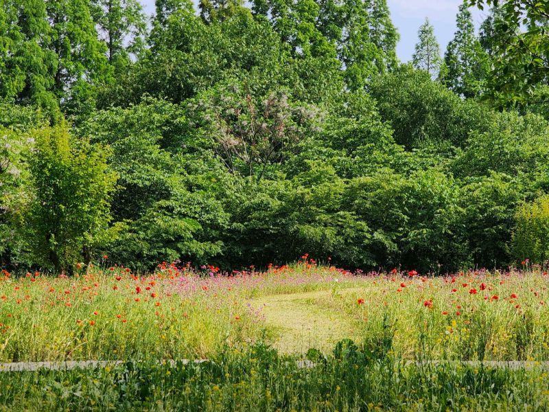 경북천년숲정원