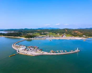 남당항 새조개 축제_27