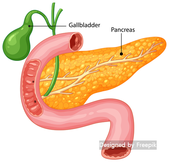 오른쪽 옆구리 통증 관련질환