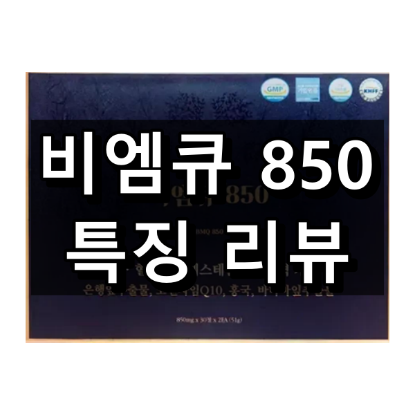 비엠큐 850 대표 이미지