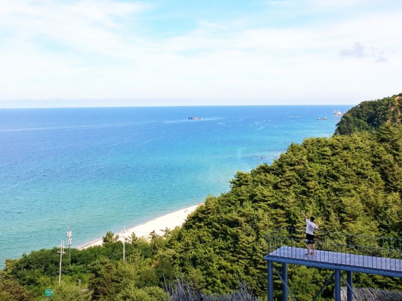 하슬라아트월드