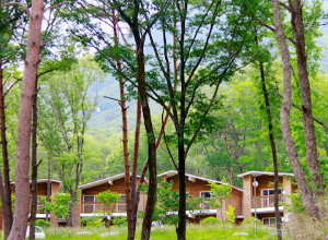 자연휴양림 BEST 5 2023년 신축