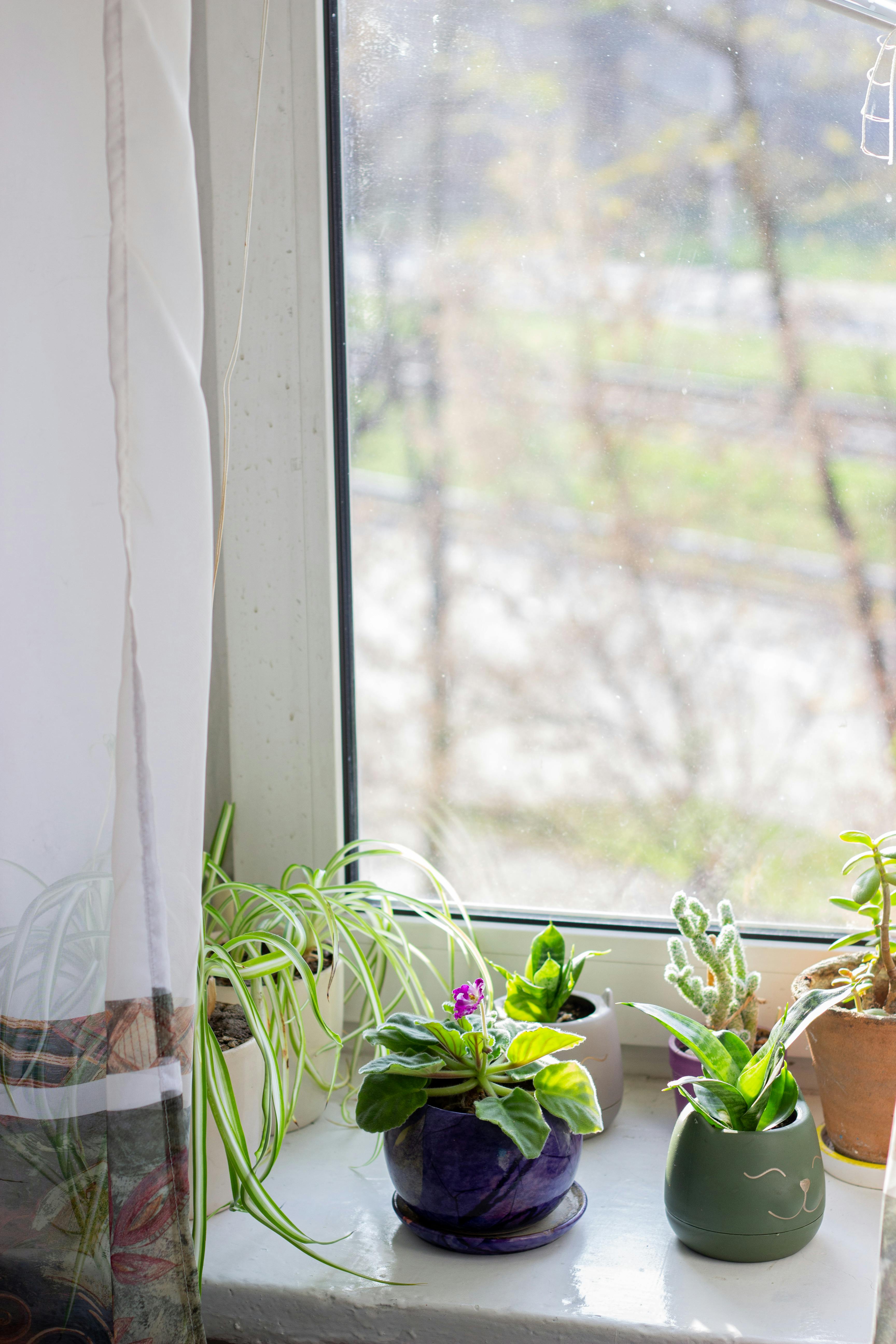 실내 공기질 개선 프로젝트 환기 없이 살아본 48시간, 우리 집 공기질은 어떻게 변했을까?