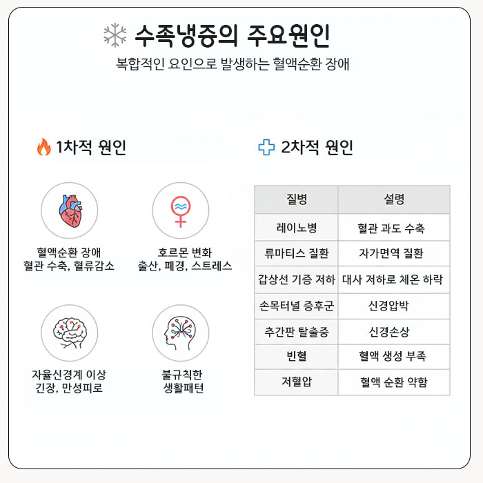 수족냉증의 주요 원인