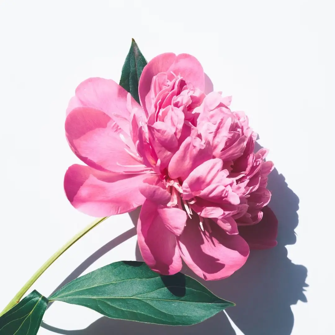 부부의날_인사말