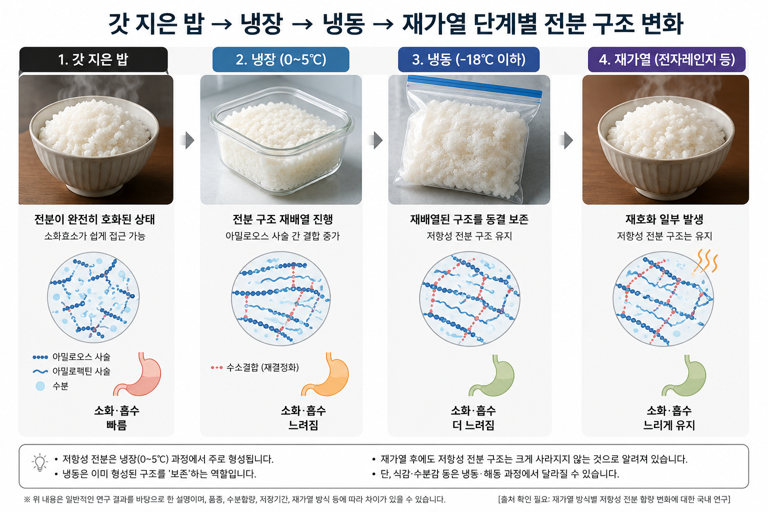 갓지은밥-냉장-냉동-재가열 단계별 전분 구조 변화