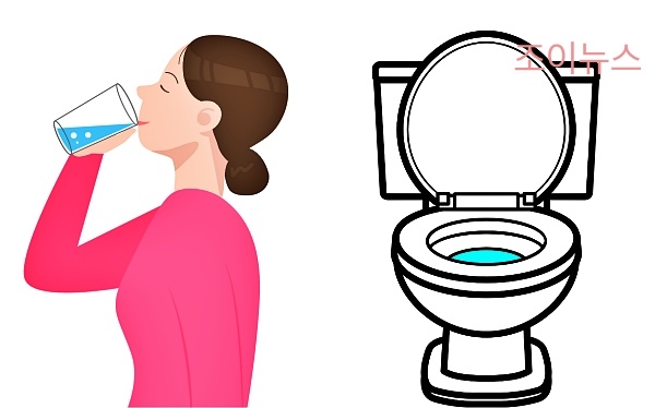 본격적인 장 정결